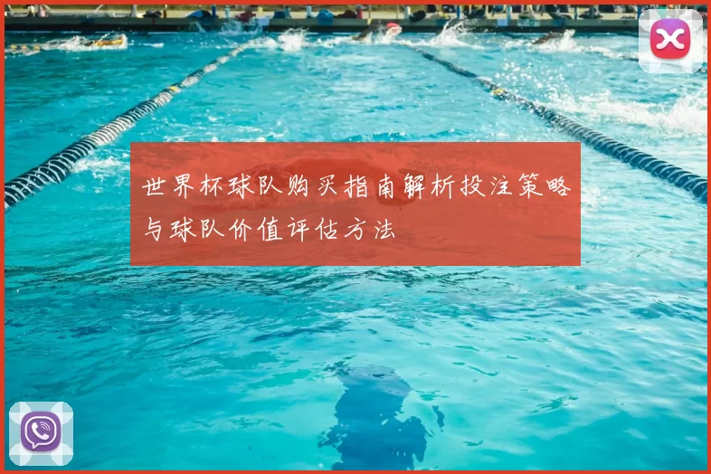 世界杯球队购买指南解析投注策略与球队价值评估方法