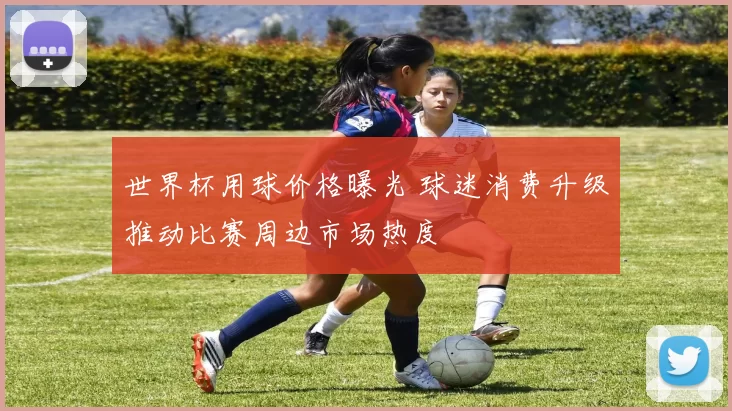 世界杯用球价格曝光 球迷消费升级推动比赛周边市场热度