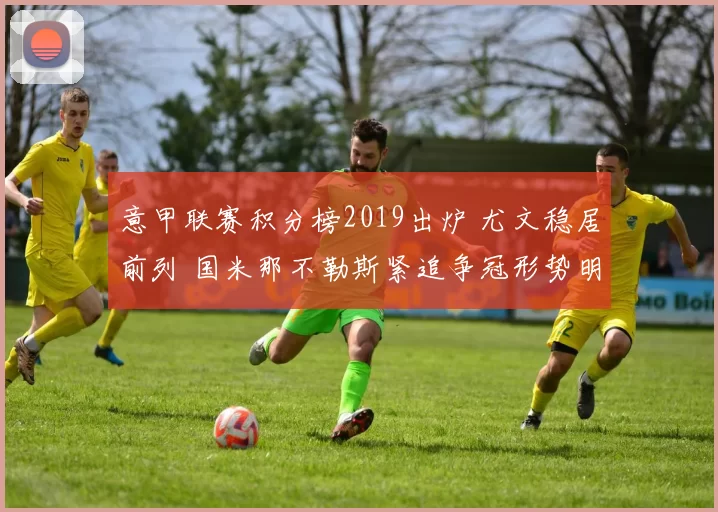 意甲联赛积分榜2019出炉 尤文稳居前列 国米那不勒斯紧追争冠形势明朗
