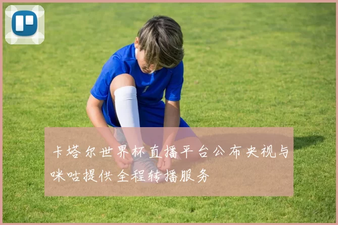 卡塔尔世界杯直播平台公布央视与咪咕提供全程转播服务