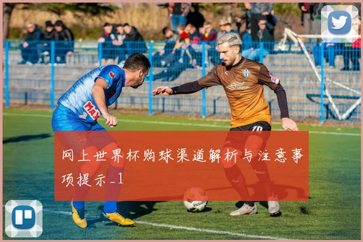网上世界杯购球渠道解析与注意事项提示_1