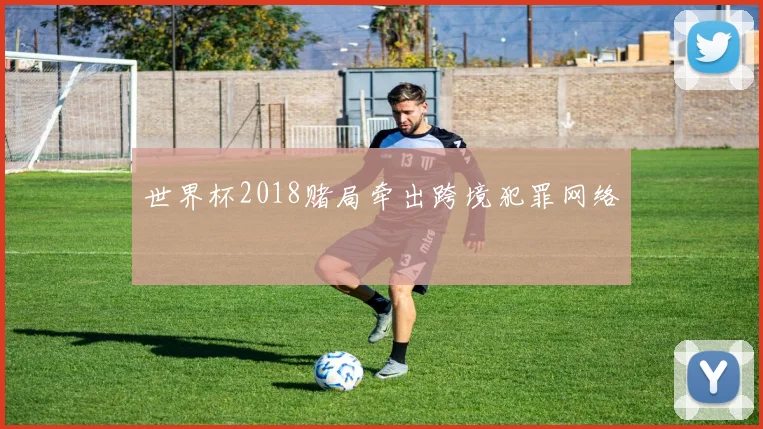 世界杯2018赌局牵出跨境犯罪网络