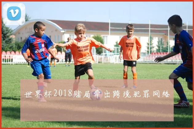 世界杯2018赌局牵出跨境犯罪网络