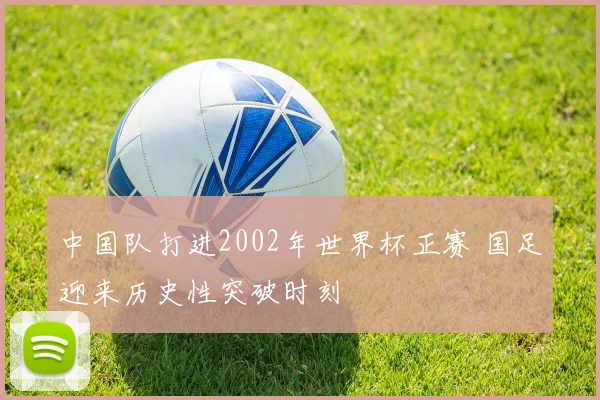 中国队打进2002年世界杯正赛 国足迎来历史性突破时刻