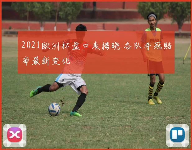 2021欧洲杯盘口表揭晓 各队夺冠赔率最新变化