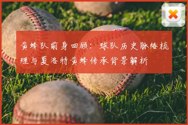 黄蜂队前身回顾：球队历史脉络梳理与夏洛特黄蜂传承背景解析
