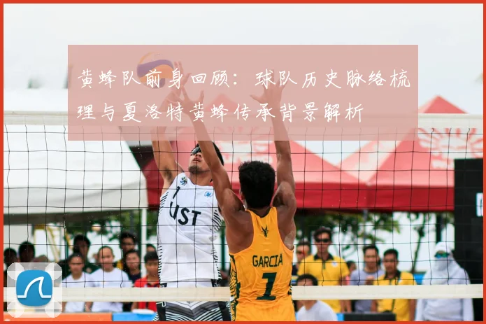 黄蜂队前身回顾：球队历史脉络梳理与夏洛特黄蜂传承背景解析