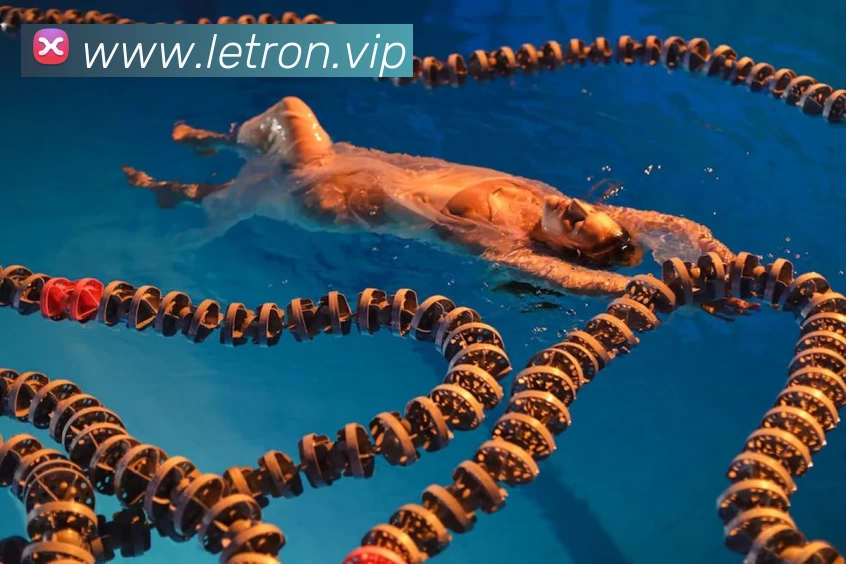 多媒体互动体验